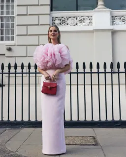 Rachel Gilbert Angelo Gown Pink Size AU 6 for rent on The Volte - image 1