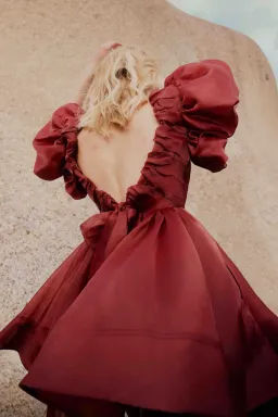 Aje Gretta Organza Mini Dress Burgundy Size 8  for rent on The Volte - image 5