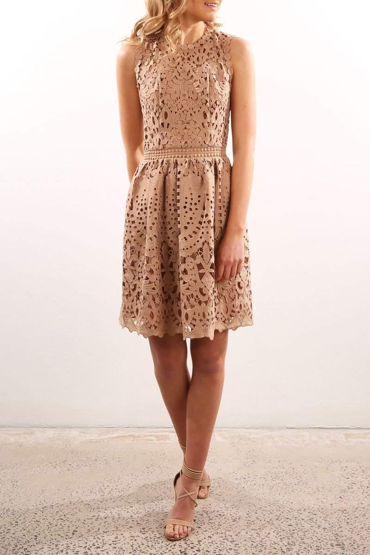 Ministry Of Style Lush Lace Dress Mocha Size 8 - Image 1