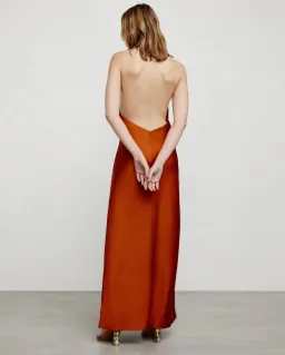 Significant Other Darcy Backless Dress Clay Size 8 for rent on The Volte - image 3