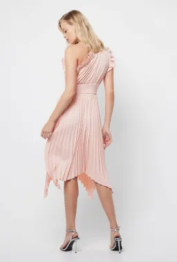 Mossman The Lady Like Midi Dress in Blush Size 12 for rent on The Volte - image 3