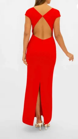 Carla Zampatti Bareback Beauty Gown Red Size 10 for rent on The Volte - image 4