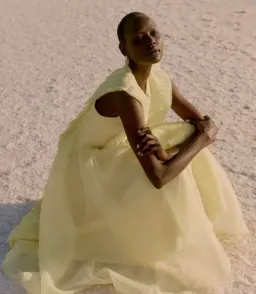 Aje Astrid Pleat Panel Midi Dress Yellow Size 8 / S for rent on The Volte - image 4