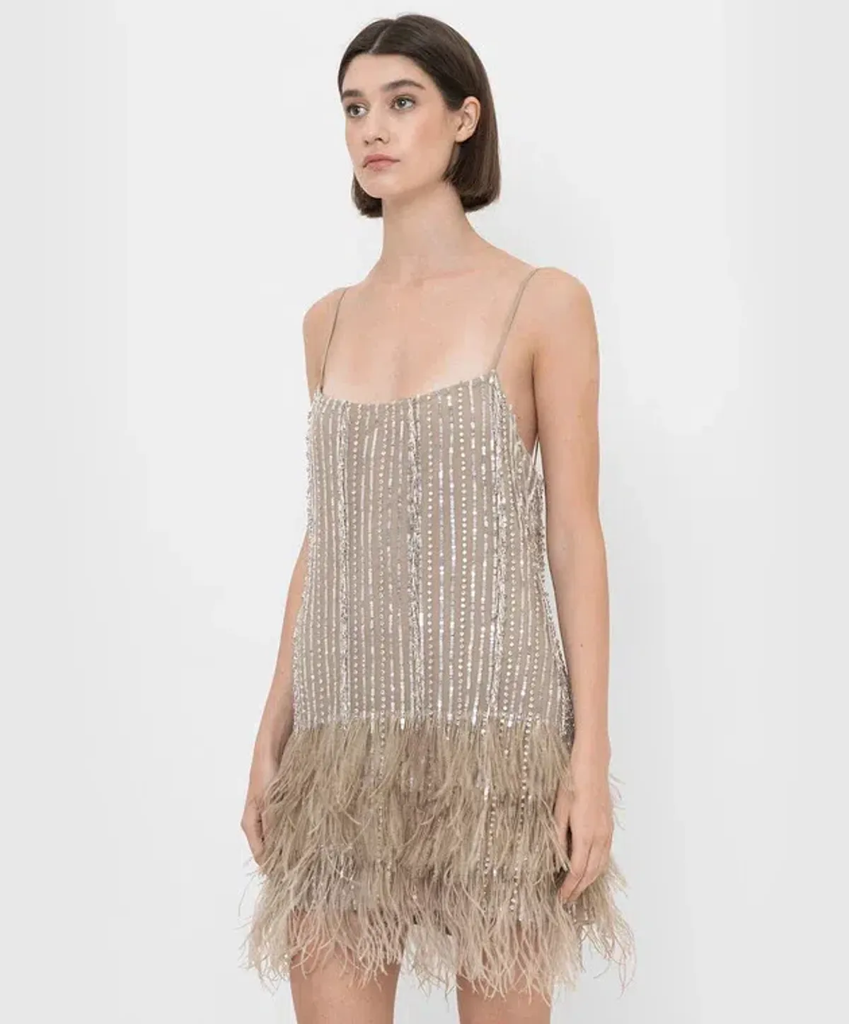 Rachel Gilbert Kenzi Mini Dress Beige Size 5 / AU 16 - Image 2