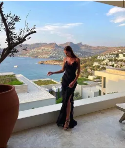 Rat & Boa Selena Dress in Black Size 8 for rent on The Volte - image 5