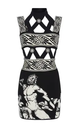 Fausto Puglisi Diamond Cutout Knit Mini Dress Print Size 36 / AU 6 for rent on The Volte - image 5