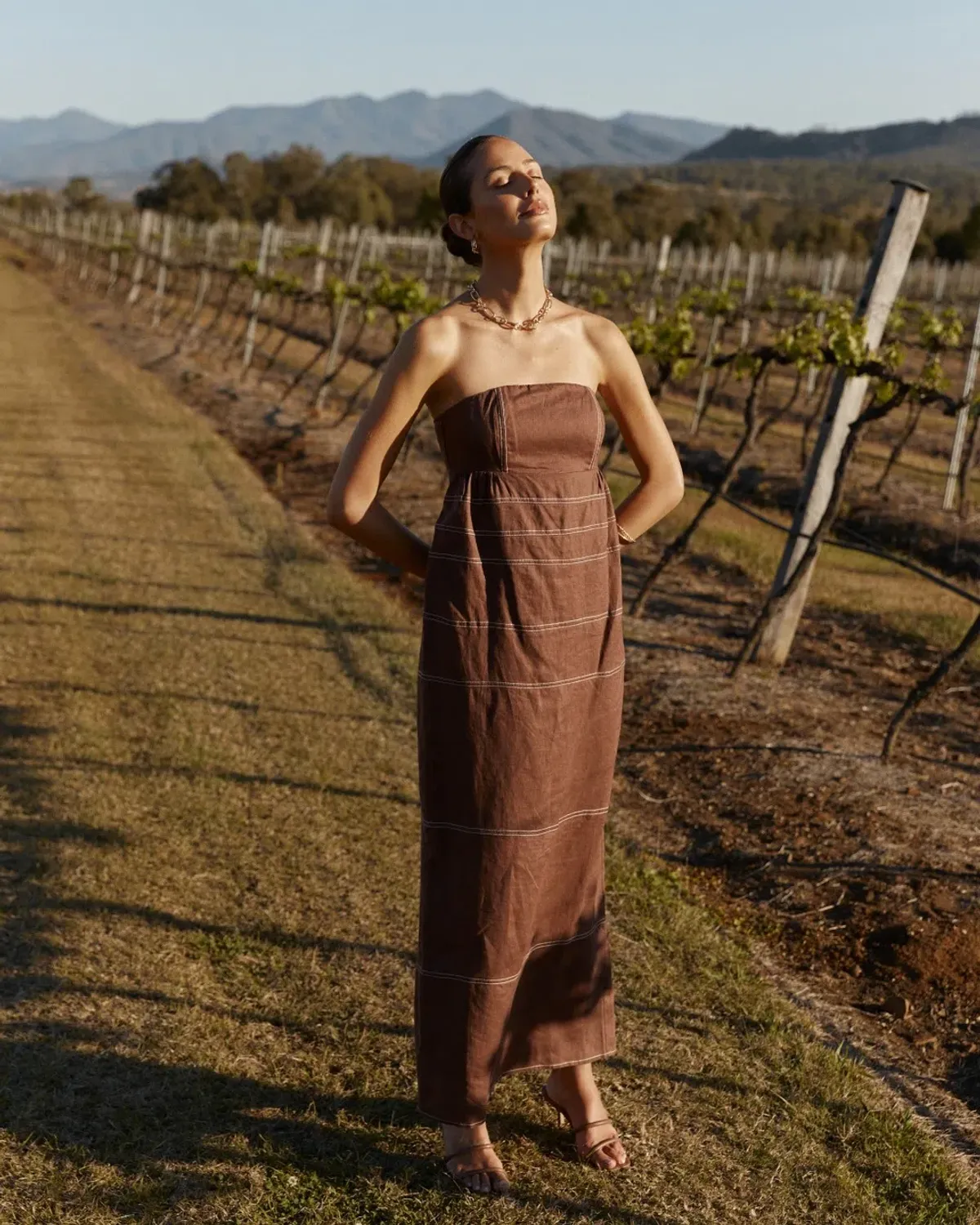 Dissh Chai Strapless Dress Brown Size AU 14 - Image 1