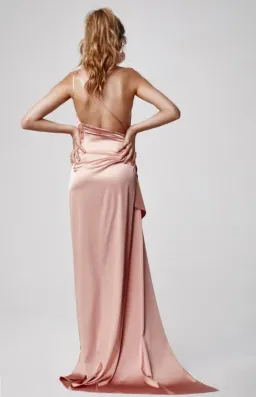 Lexi Samira Floor Length Dress Pink Size 4 for rent on The Volte - image 3
