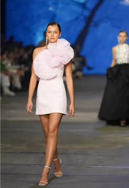 Rachel Gilbert Angelo Mini Dress Pink Size 4/AU14 for rent on The Volte - image 4