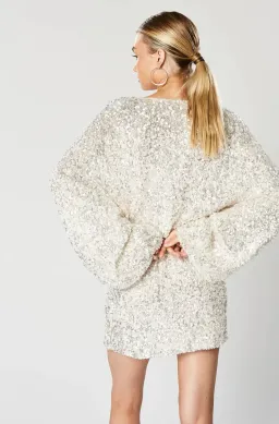 Winona Synergy Dress Silver Champagne Size M/Au 10  for rent on The Volte - image 4