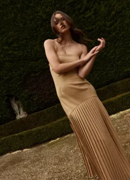Bianca and Bridgett Mara Pleated Maxi Dress in Beige Gold Size 8 for rent on The Volte - image 4