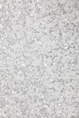 Winona Eloise Backless Dress White Size 6 for rent on The Volte - image 7