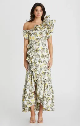 Aqua Blu Giselle Dress Clementine Print Size 10 for rent on The Volte - image 1