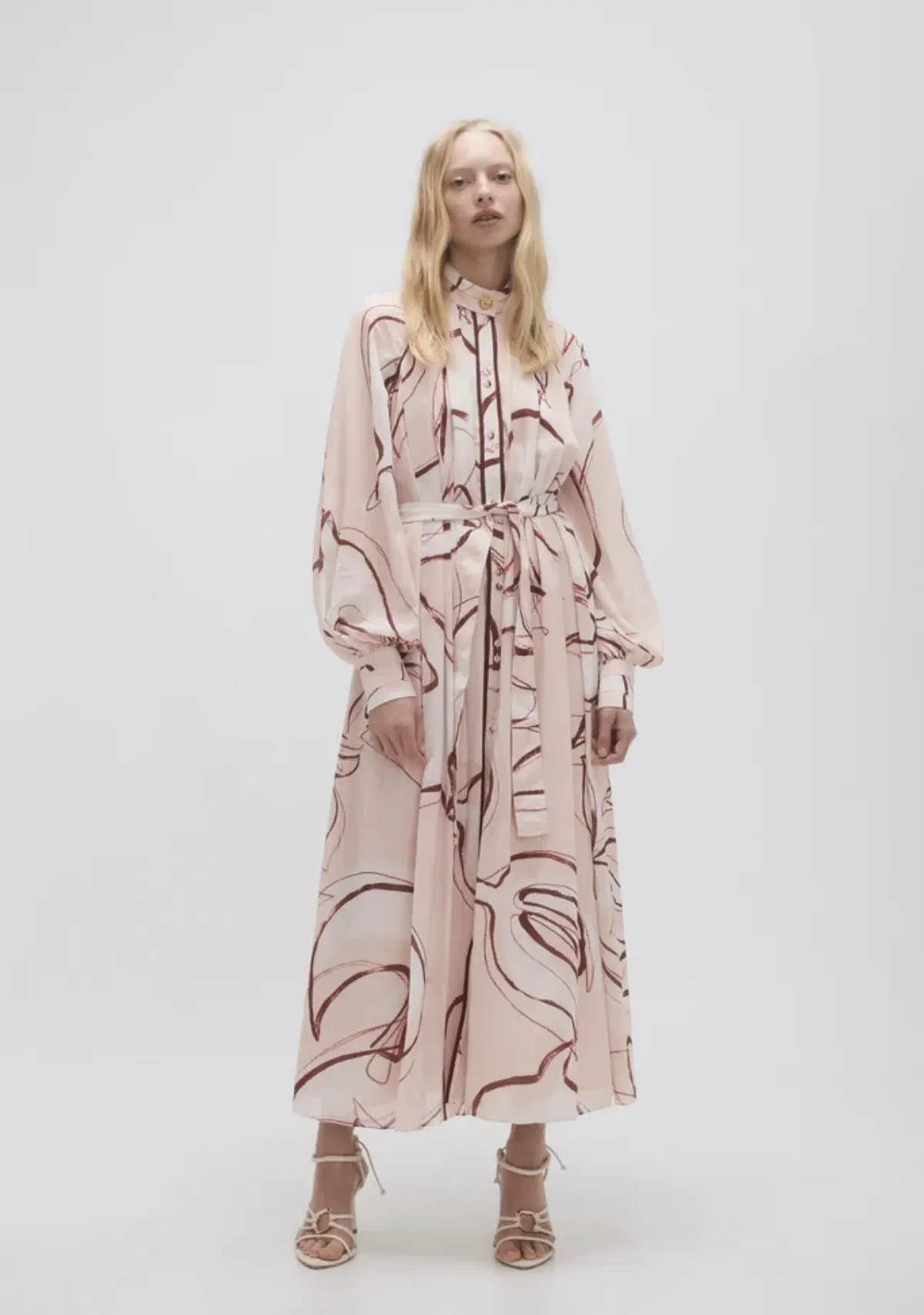 Aje Beatrice Pleated Midi Dress Whimsical Dove Print Size 12 for rent on The Volte - main image