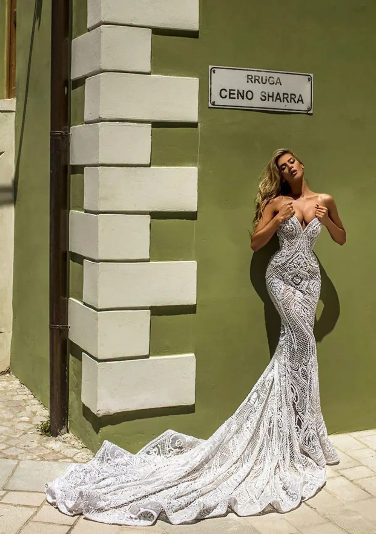 Albina Dyla Corset White Bridal Dress White Size 6 for rent on The Volte - main image