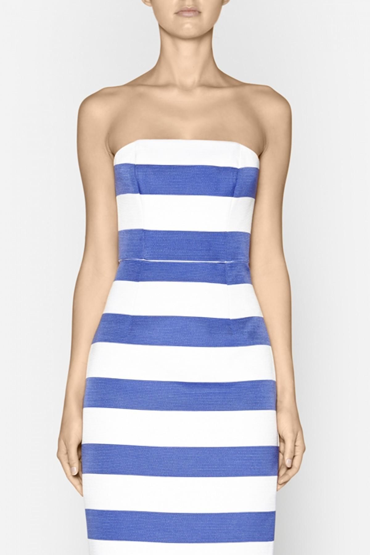 Camilla & Marc Moonkin Strapless Dress for rent on The Volte - main image