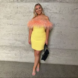 Rachel Gilbert Zion Mini Dress Yellow Size 4/AU14  for rent on The Volte - image 3