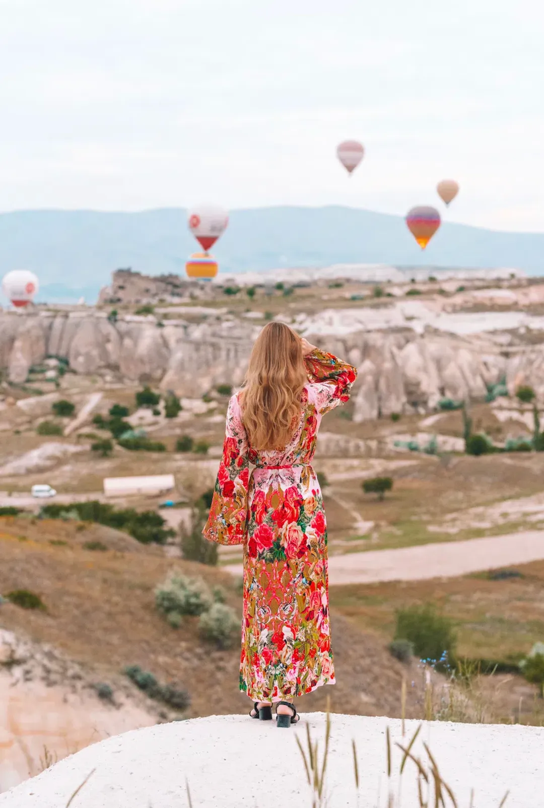 Camilla Czarina Every Flower Blossoms Wrap Dress Floral Size 8 for rent on The Volte - main image