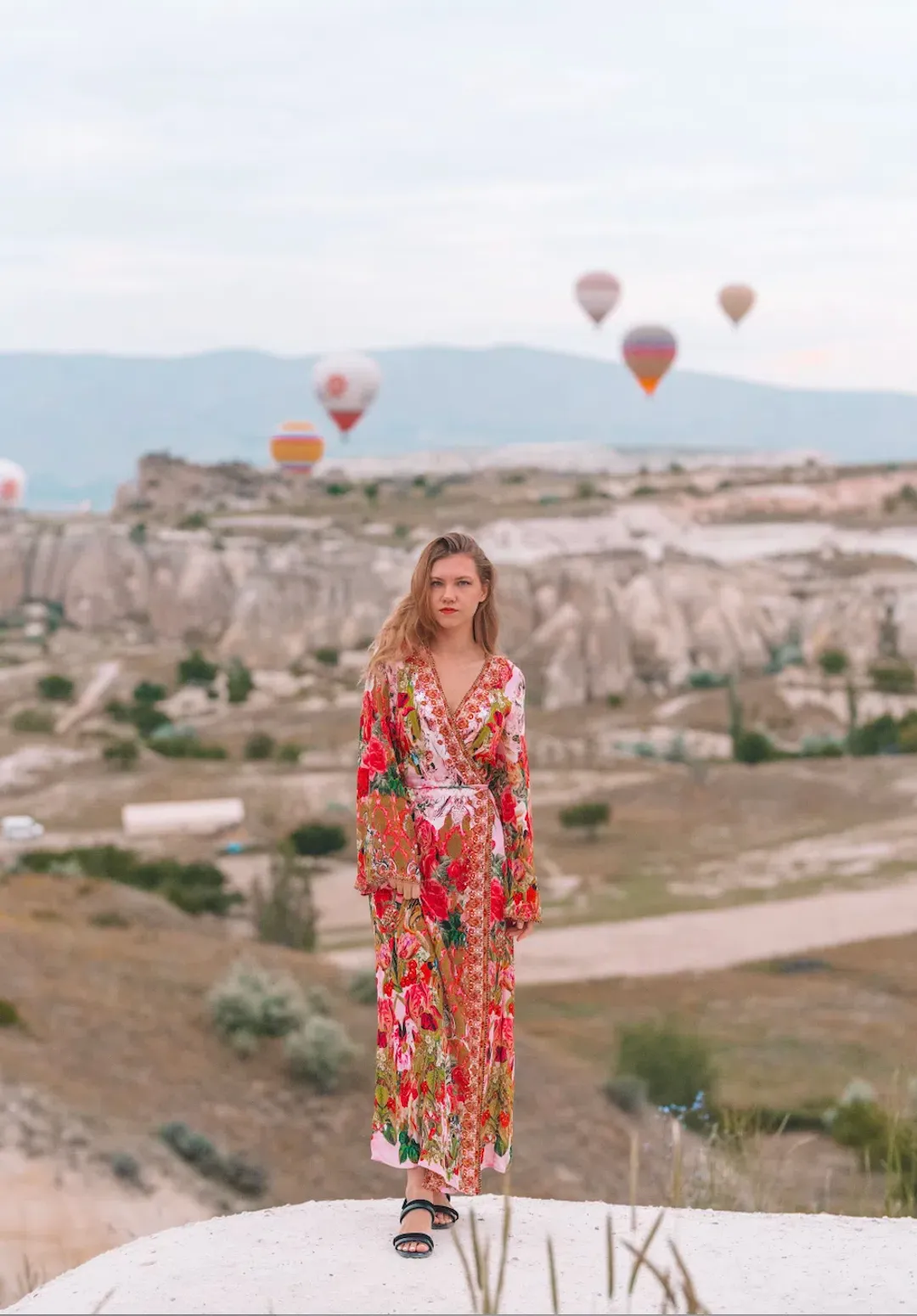 Camilla Czarina Every Flower Blossoms Wrap Dress Floral Size 8 for rent on The Volte - main image