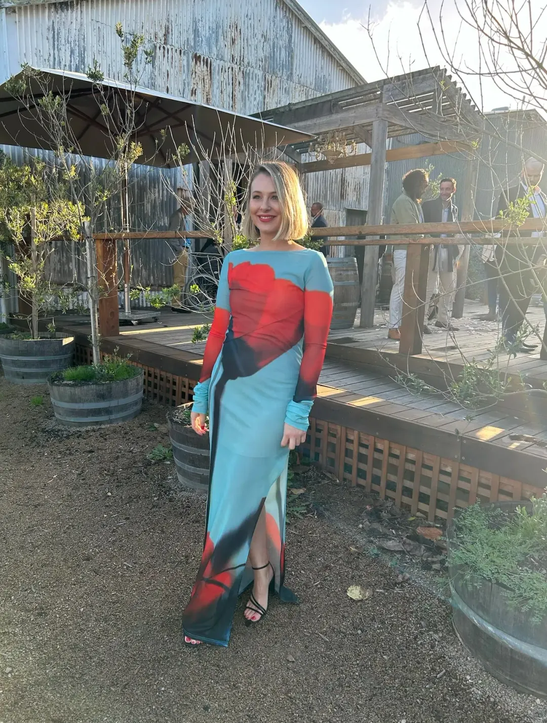 Rat & Boa Santino Dress Multi Size Size AU 12  for rent on The Volte - main image