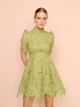 Leo Lin Elise Lace Short Sleeve Mini Dress Olive Size 14 for rent on The Volte - image 2