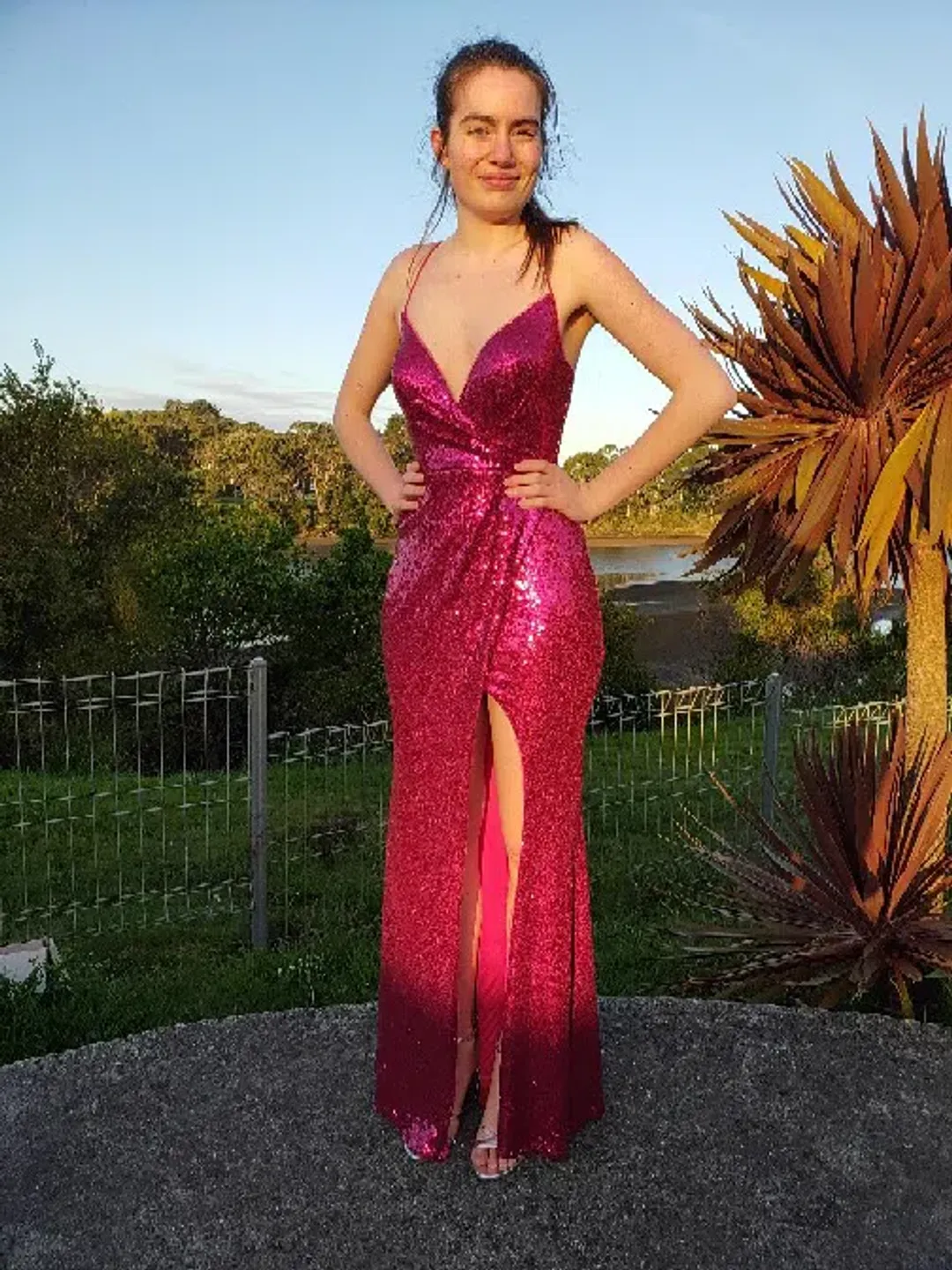 Bariano Alexandrite Maxi Dress Pink Size 8 for rent on The Volte - main image