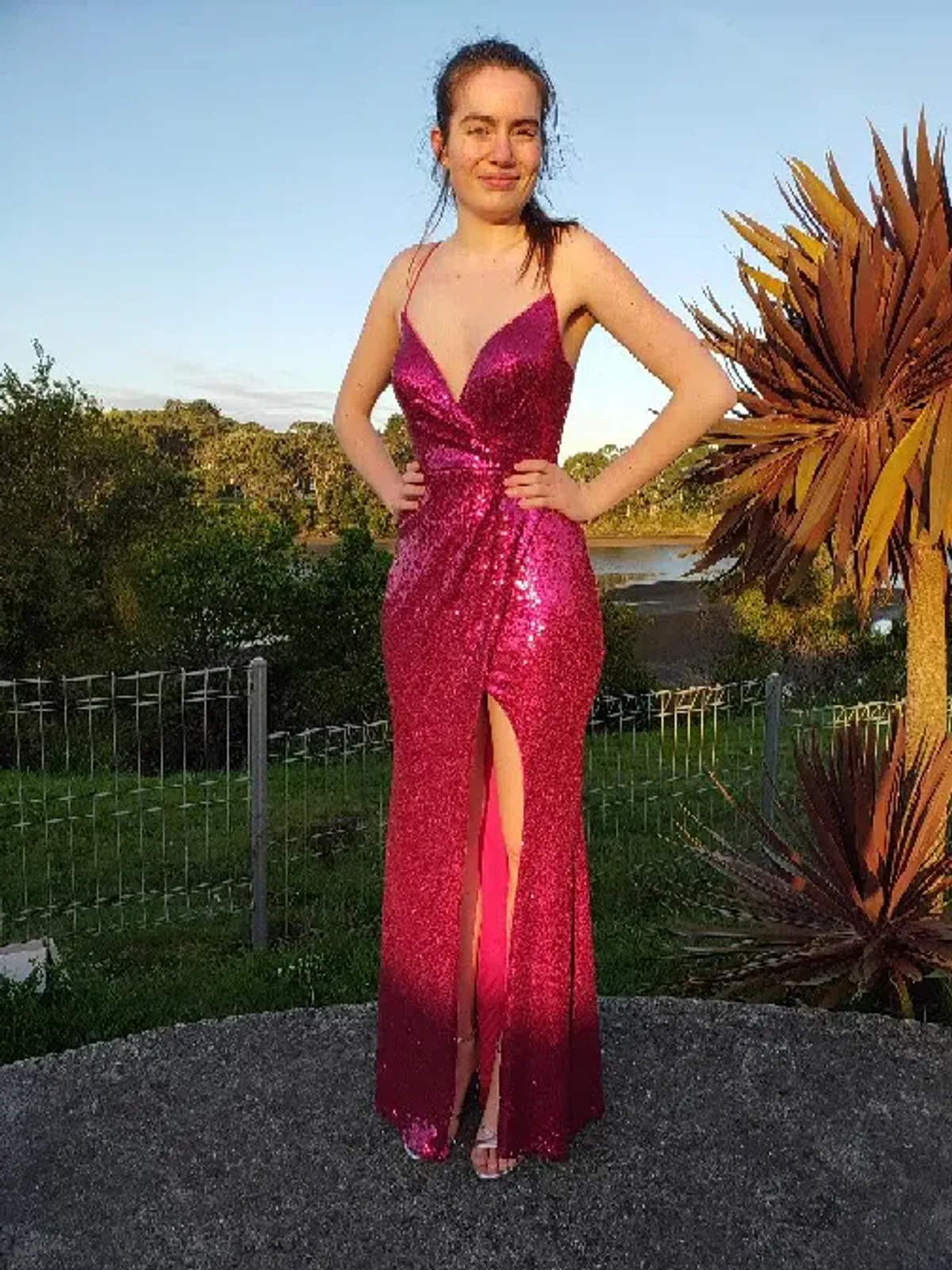 Bariano Alexandrite Maxi Dress Pink Size 8 for rent on The Volte - main image