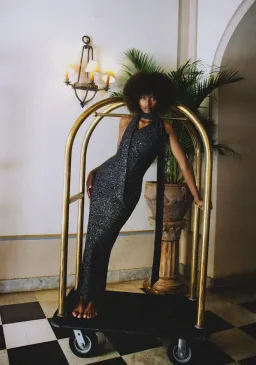 Asta Resort Jennifer Dress Charcoal Sequin Size XS/Au 6 for rent on The Volte - image 3