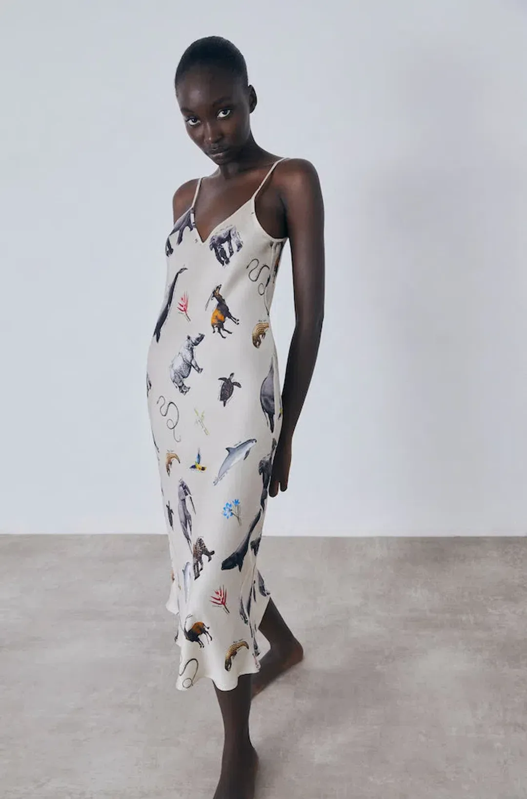 Silk Laundry 90's Slip Dress in Endangered Species Size S / AU 8 for rent on The Volte - main image