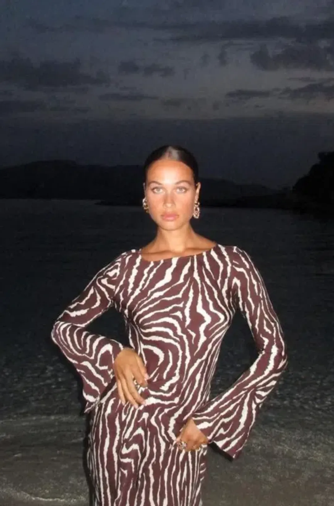 Realisation Par The Gia In Animal Zebra Print Size L / Au 12 for rent on The Volte - main image