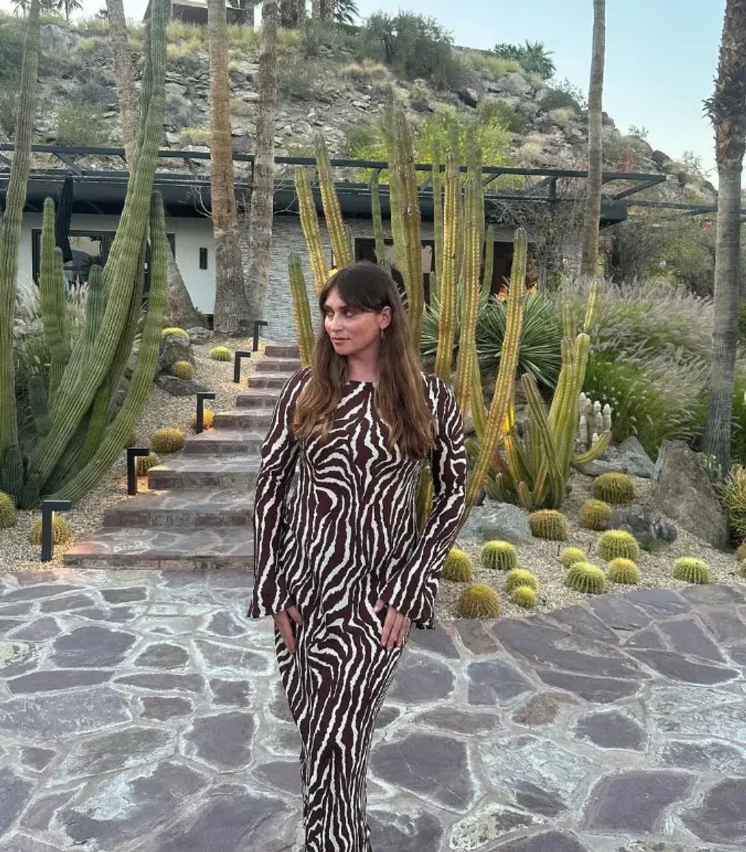 Realisation Par The Gia In Animal Zebra Print Size L / Au 12 for rent on The Volte - main image