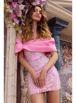 Eliya The Label Bianca Mini Dress Pink Size L / AU 12  for rent on The Volte - image 5