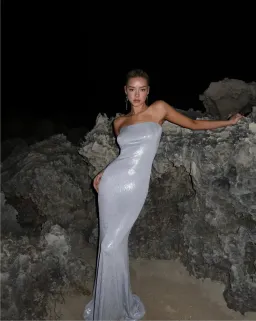 Natalie Rolt Kiki Dress Silver Size 1 / AU 8 for rent on The Volte - image 1