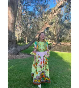 Alemais Lemonis Jacquard Midi Dress Multi Print Size 16 for rent on The Volte - image 1