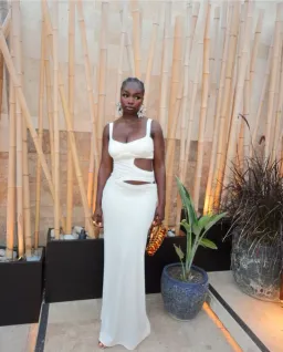 Arcina Ori Jetta Dress White Size 8  for rent on The Volte - image 8