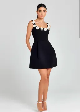 Nadine Merabi Cindy Monochrome Dress Size XS/Au 6 for rent on The Volte - image 1