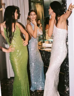 Rat & Boa Emmanuella Halter Maxi Dress in White Sequin Size XS / AU 6 for rent on The Volte - image 5