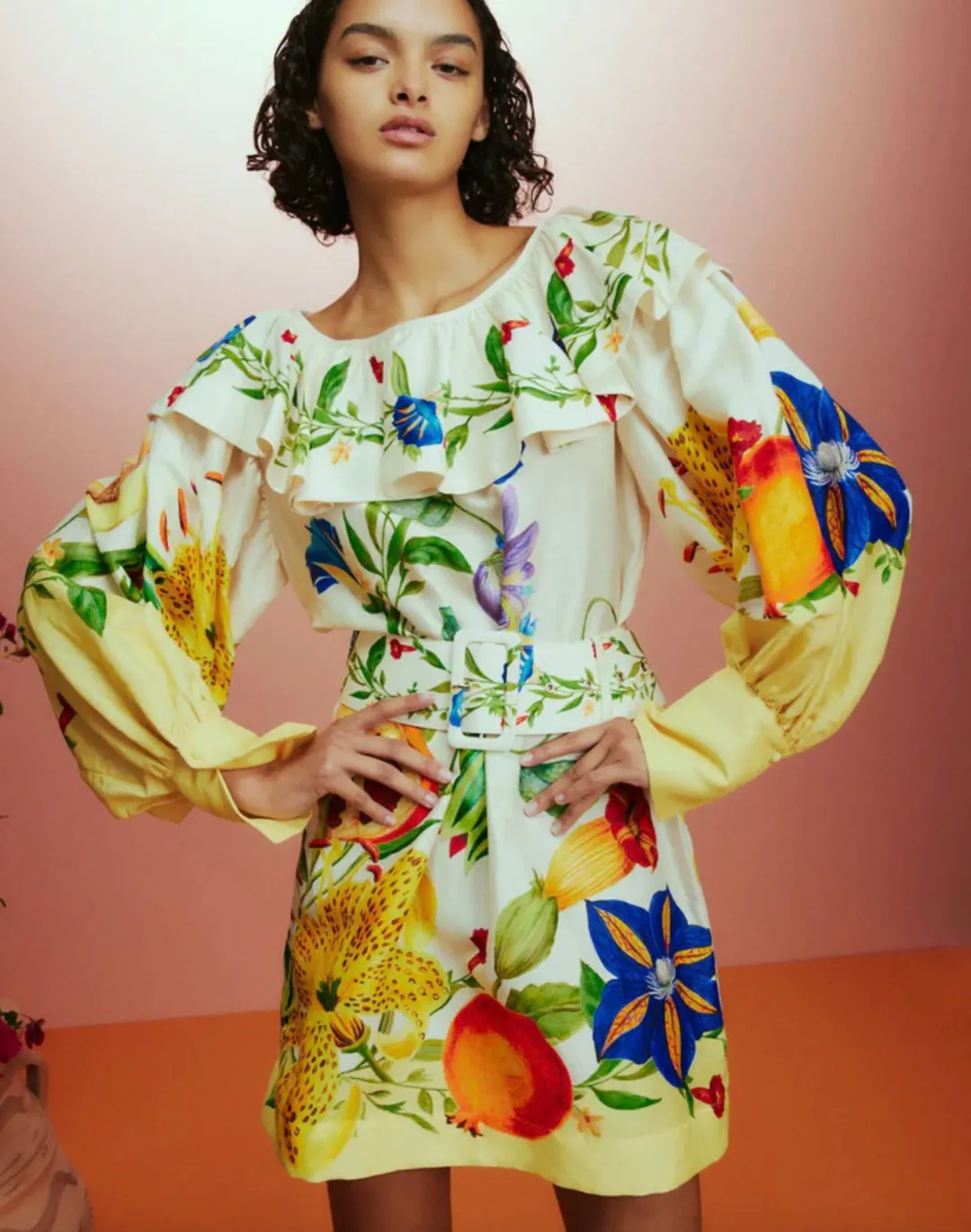 Alémais Flores Mini Dress Multi Size 16 for rent on The Volte - main image