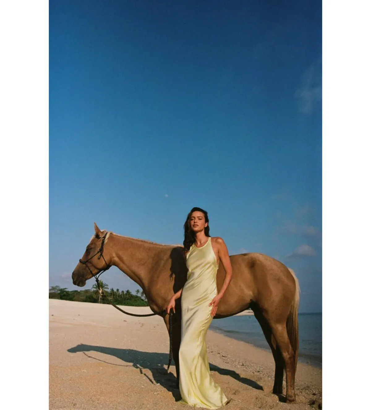 Turquoise lane  Andie Dress in Lemon Yellow Size S / AU 8 for rent on The Volte - main image