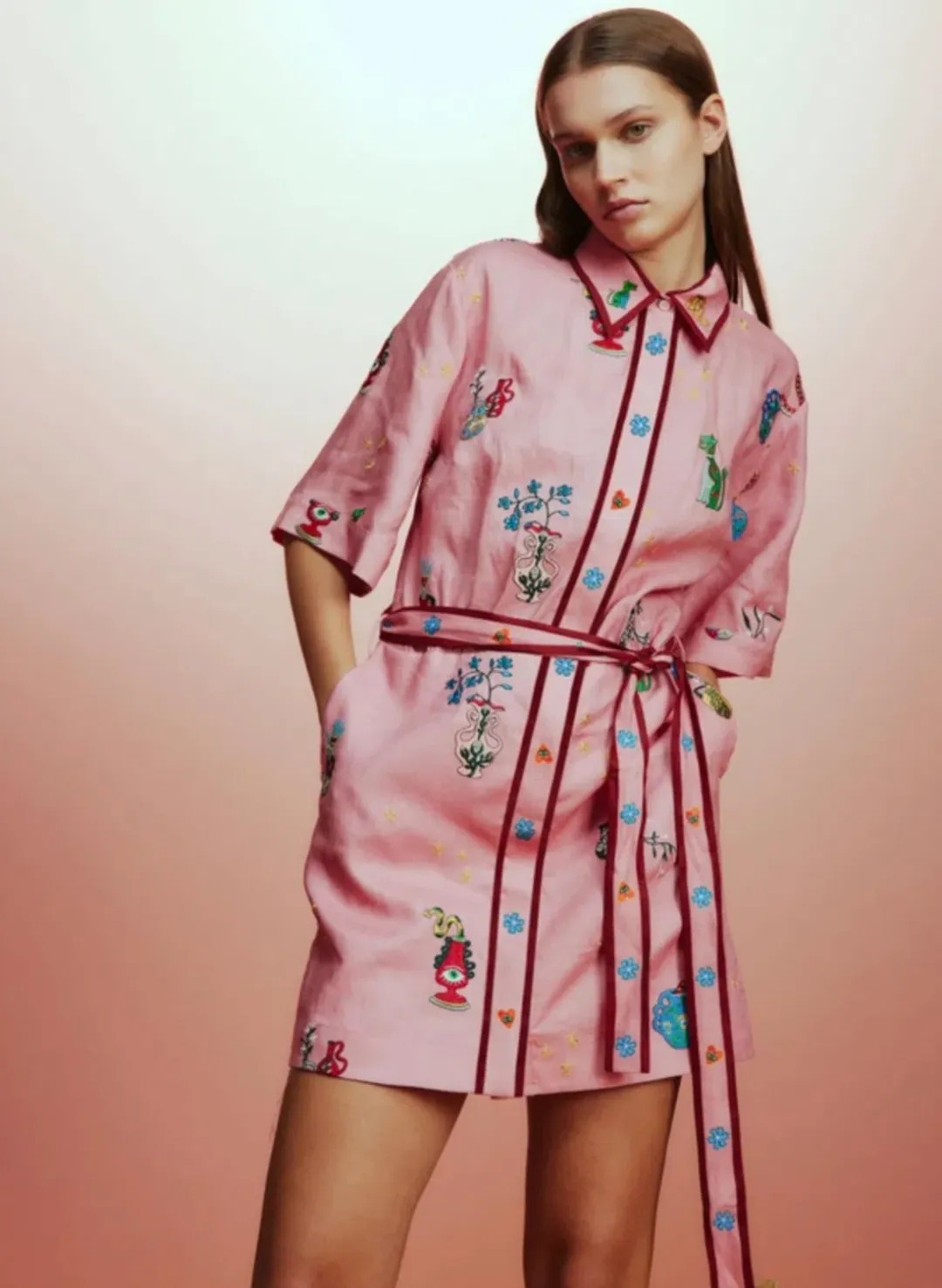 Alemais Timmy Embroidered Mini Dress Pink Size 10 for rent on The Volte - main image