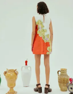 Alemais Sierra Mini Dress Print Size AU 8 for rent on The Volte - image 3