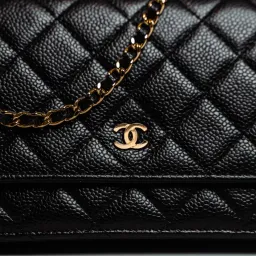 Chanel Classic Wallet On Chain Bag Black/Gold for rent on The Volte - image 3