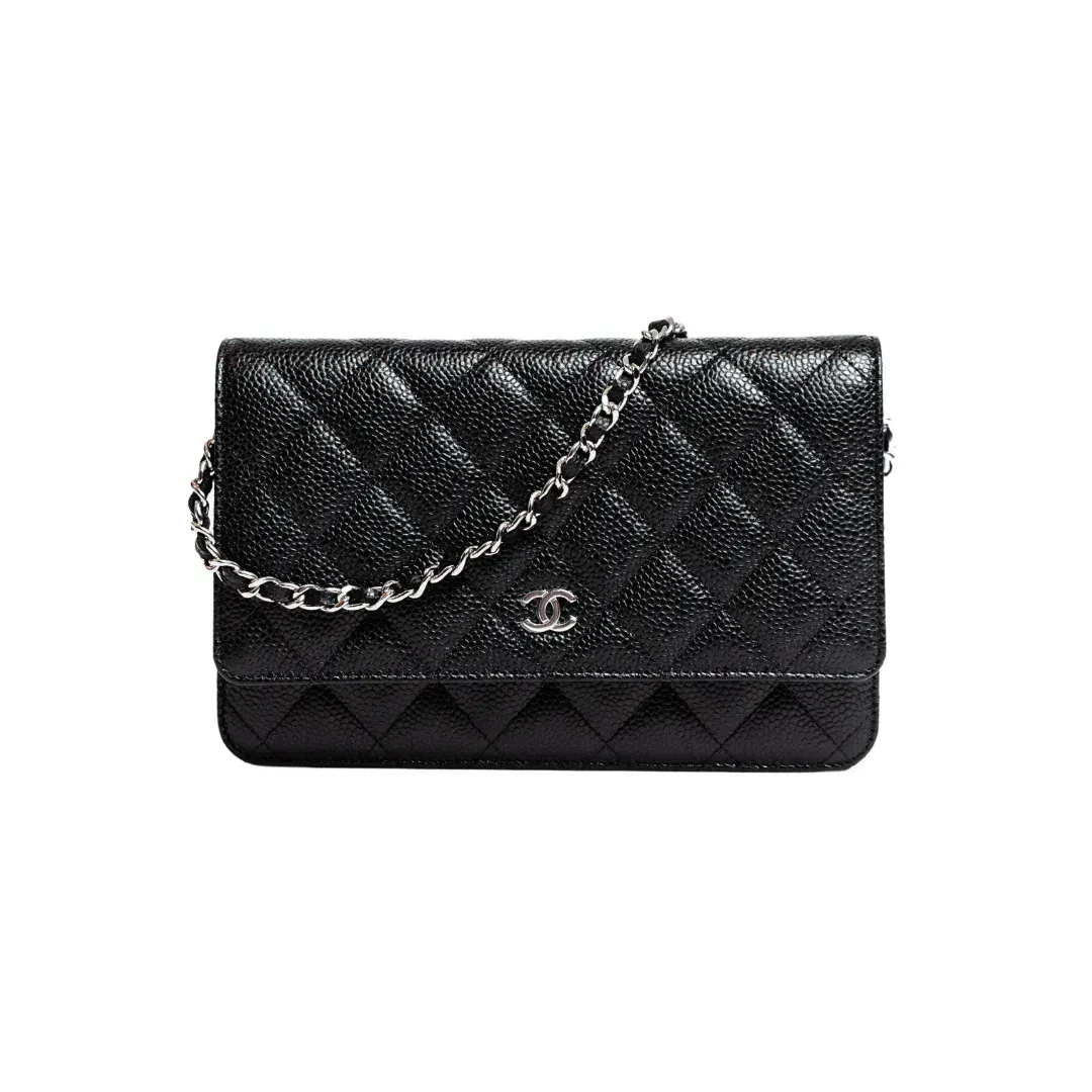 Chanel Classic Wallet On Chain Bag Black/Silver for rent on The Volte - main image
