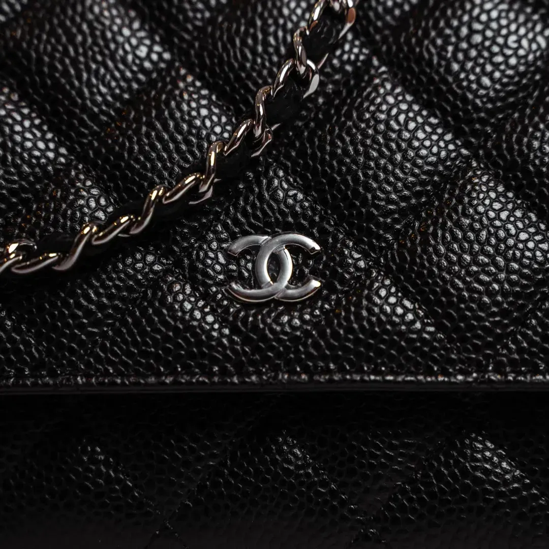 Chanel Classic Wallet On Chain Bag Black/Silver for rent on The Volte - main image