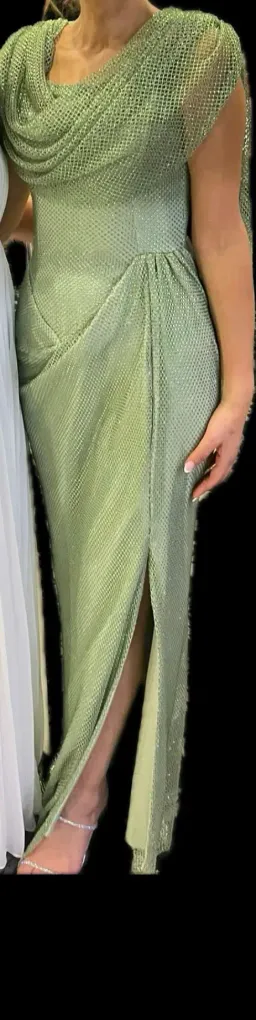 Atele Ankand Drape Neck Formal Dress Green Size 12 for rent on The Volte - image 1