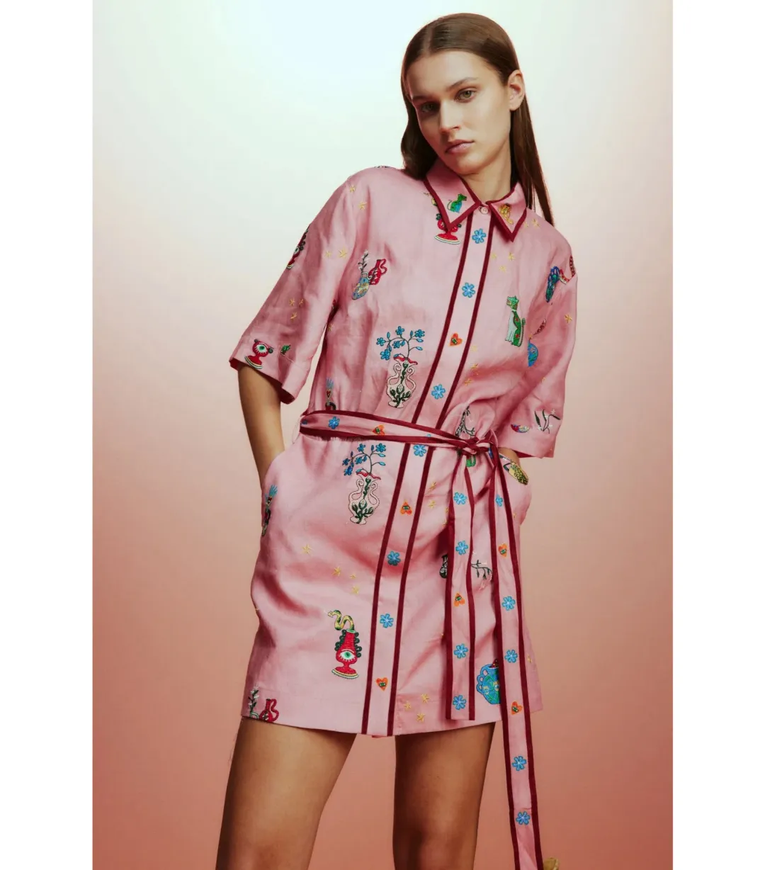 Alemais Timmy Embroidered Mini Dress Pink Size AU 10  for rent on The Volte - main image