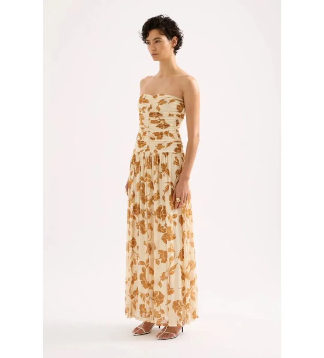 Nude Lucy Roshanne Mesh Maxi Dress Cream Floral Size XS / AU 6 for rent on The Volte - main image