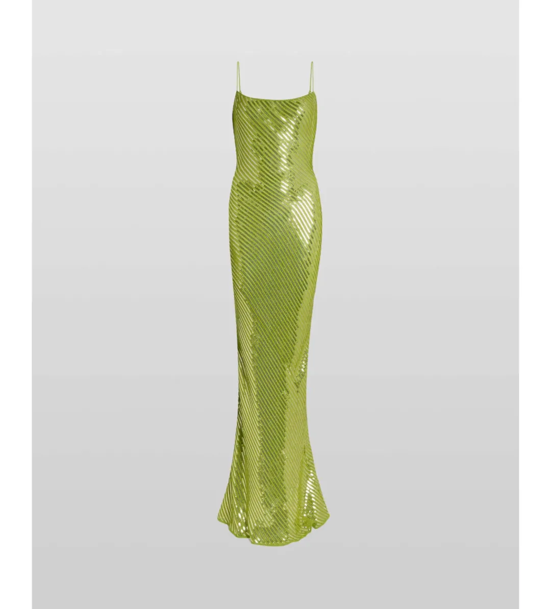 Rat & Boa Gina Sequin Maxi Dress Green Size XS for rent on The Volte - main image