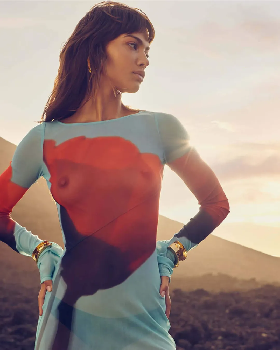 Rat & Boa Santino Mesh Dress Tulip Print Size 6 for rent on The Volte - main image