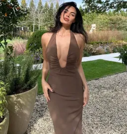 Misha Alusia Maxi Dress Brown Size 8 for rent on The Volte - image 1